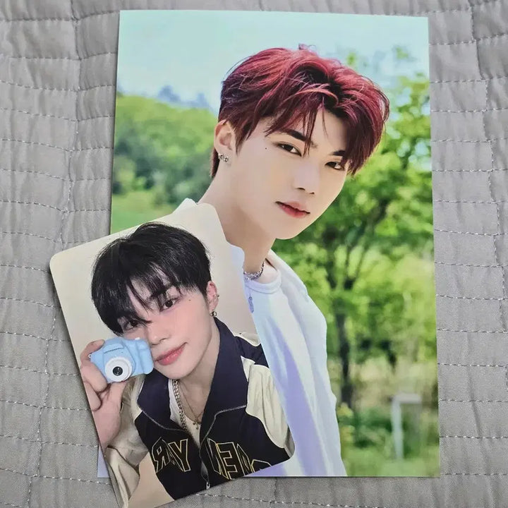 반택비무료 인기가요 제로베이스원 제베원 zb1 역조공 포카 + 인화사진