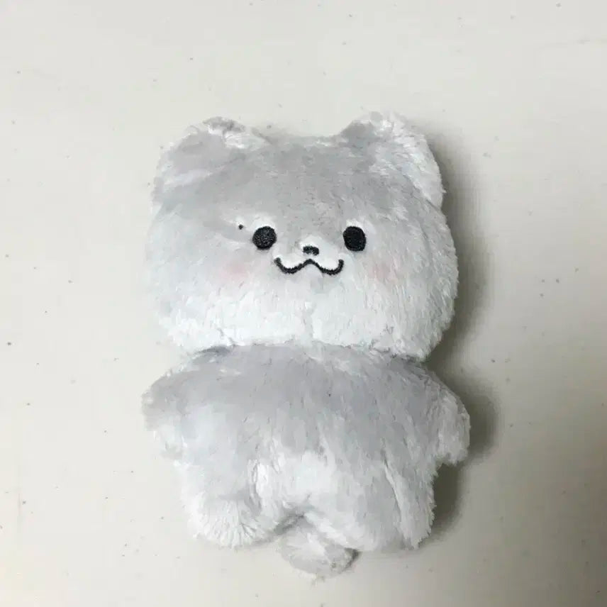 더보이즈 주연 쥬냥이 양도합니다!