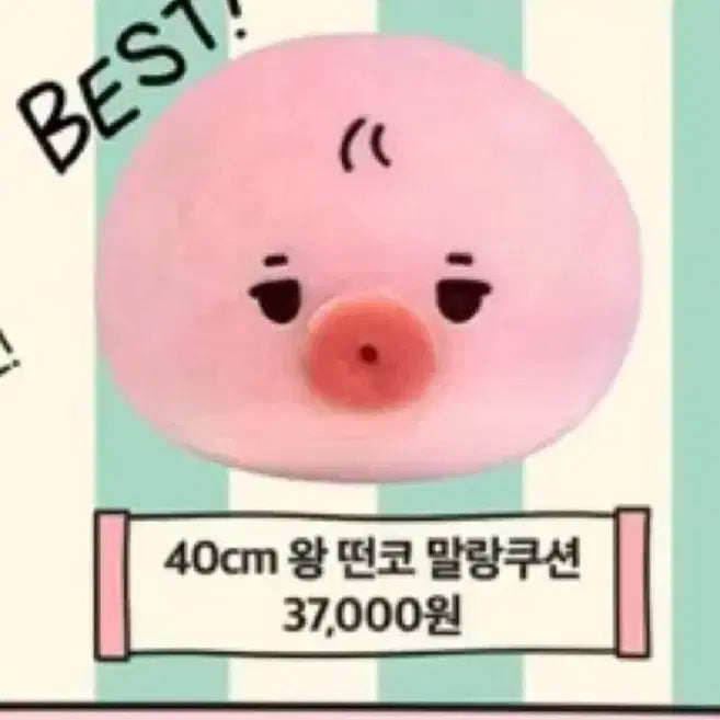 더보이즈 선우 대왕 떤코 말랑쿠션 40cm