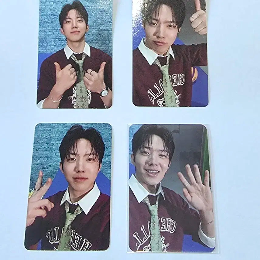 데이식스 도운 포카 일괄