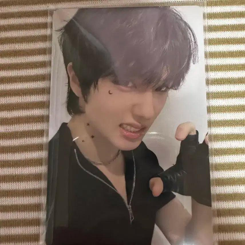 엔시티 네이션 지성 포카 양도