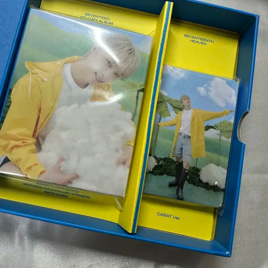 세븐틴 헤븐 디노 캐럿반