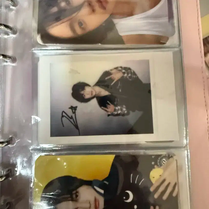 라이즈 원빈 포카 홀더 + 포카 일괄