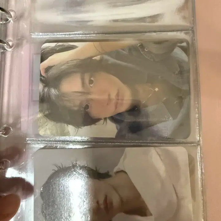 라이즈 원빈 포카 홀더 + 포카 일괄