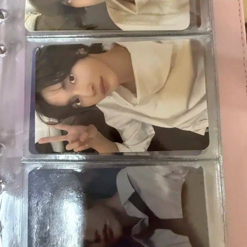 라이즈 원빈 포카 홀더 + 포카 일괄