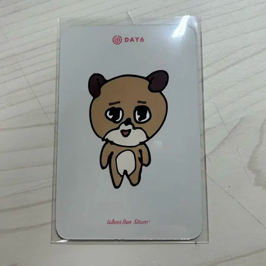 데이식스 더데케이드 도운 후즈팬 미공포