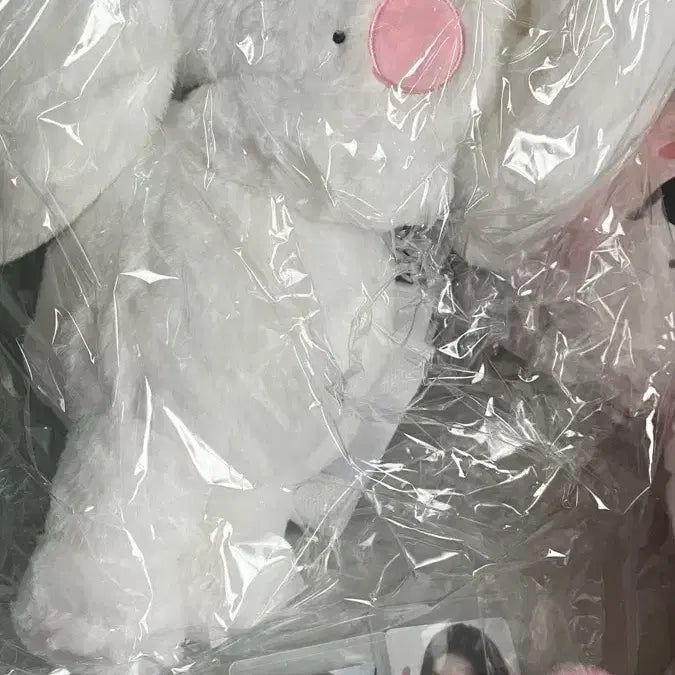 [인형+포카] 미니브 체리 허그가방 인형 아이브 원영 인형 가방