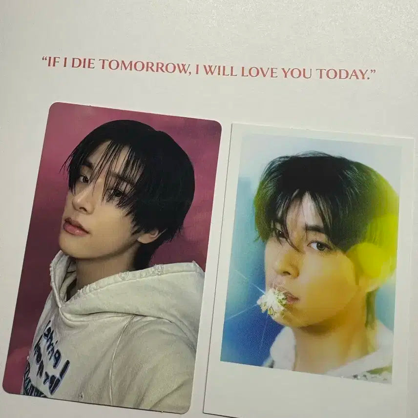 엔하이픈 제이크 포토카드 2장