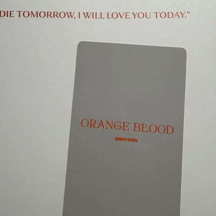 엔하이픈 희승 포토카드