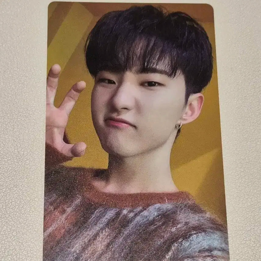 세븐틴 호시 아이노치카라 포토카드 양도