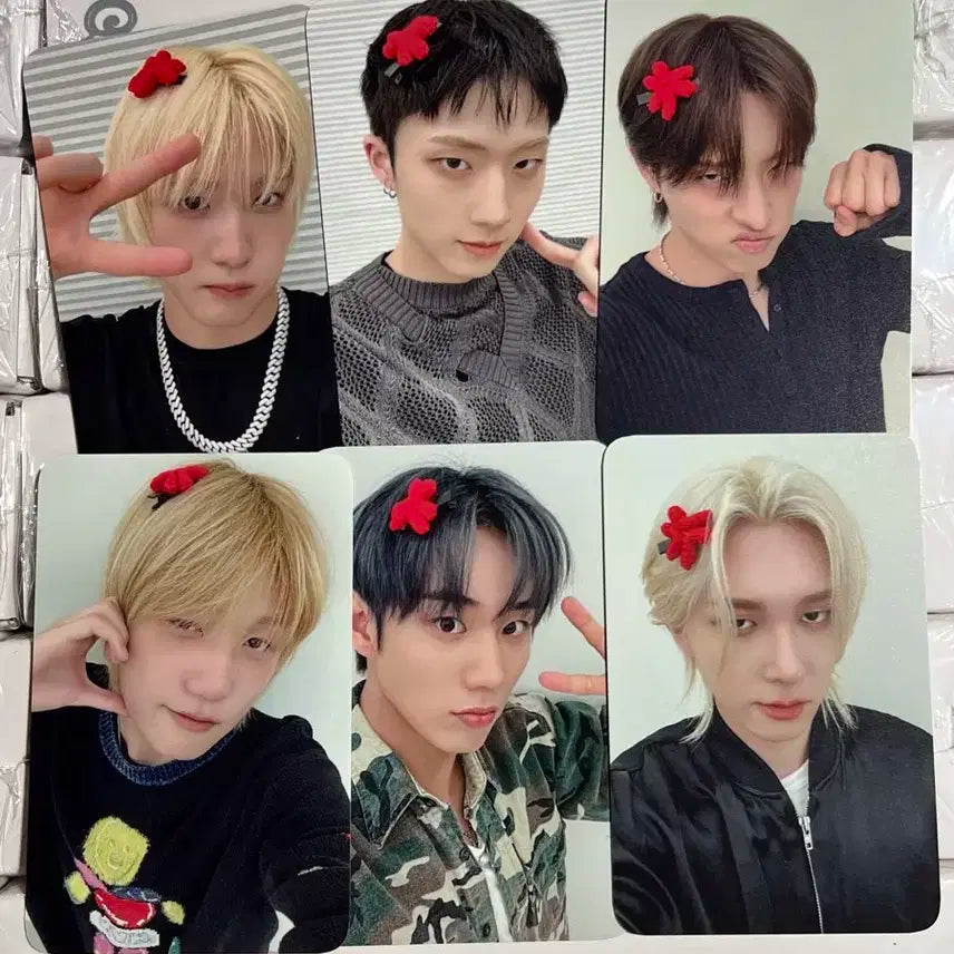 피원하모니 에버라인 톡전 포카 미공포 세트 p1harmony