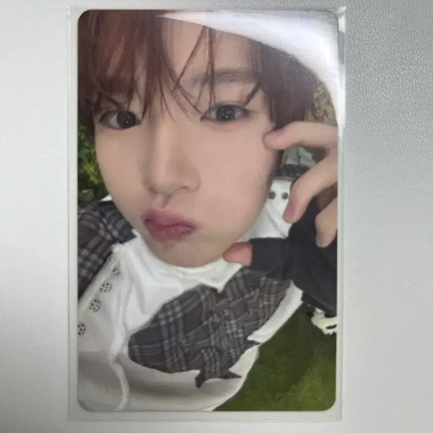 포카 일괄 판매
