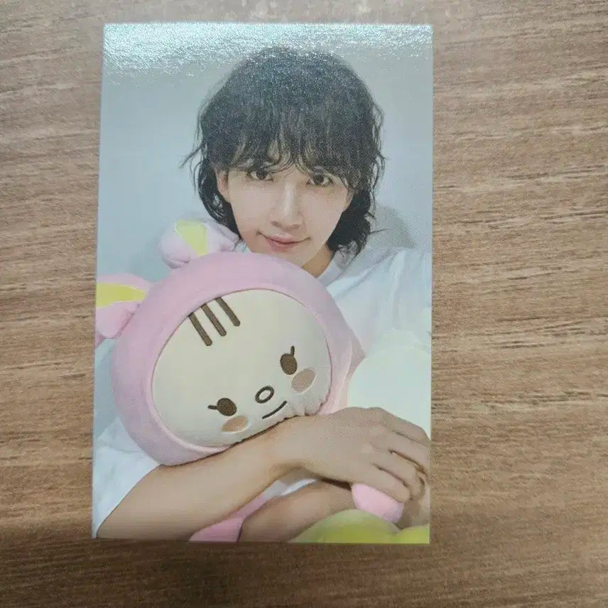 정한 쫑토람 포카 판매
