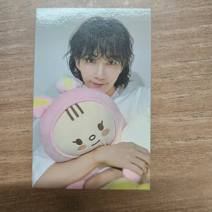 정한 쫑토람 포카 판매