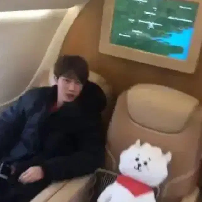 알제이 rj 방탄소년단 진 점보인형