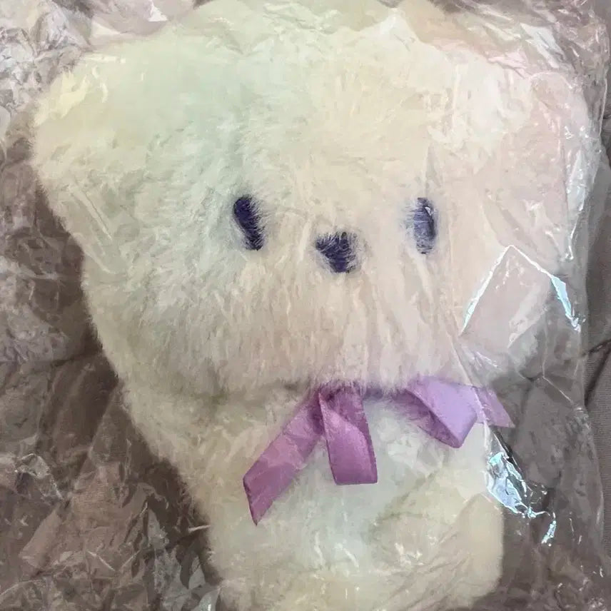 방탄소년단 bt21 알제이 RJ 레인보우 인형 키링