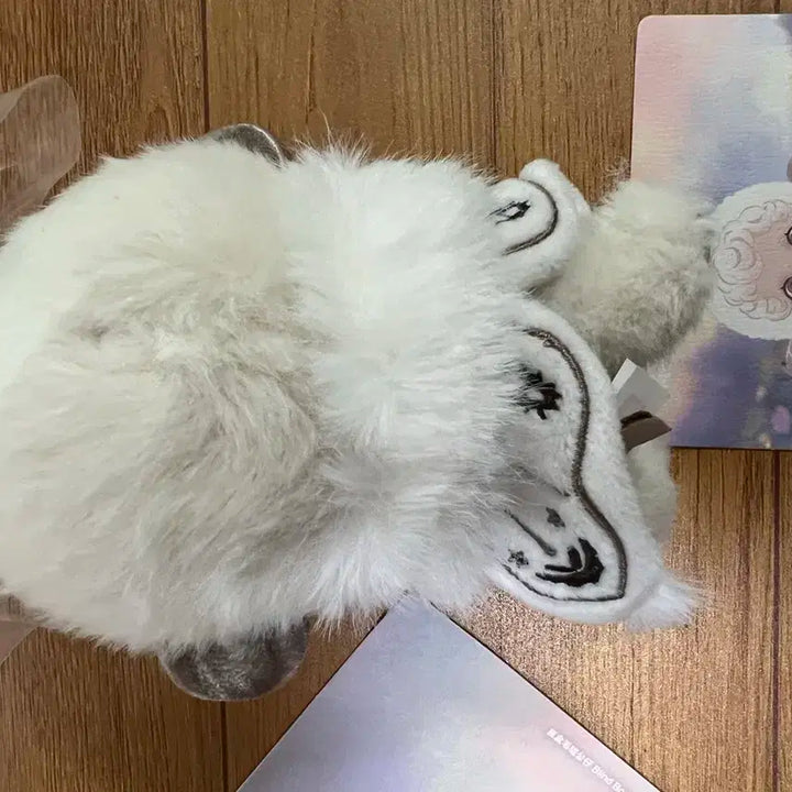 라부부 정품입니다