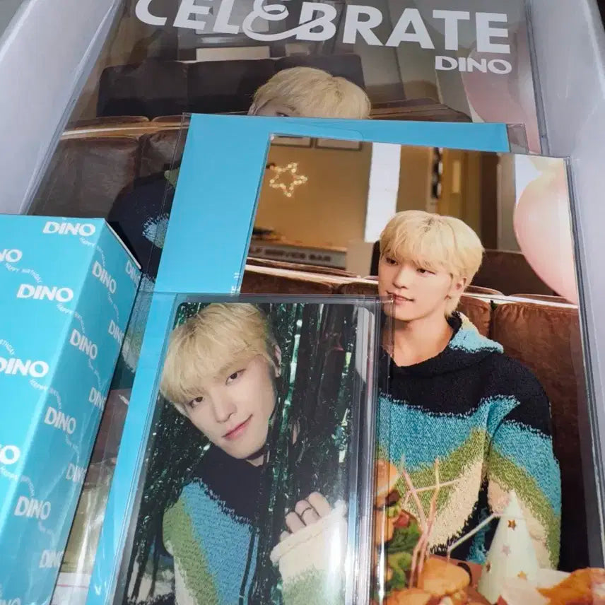 급처) 세븐틴 디노 생일박스 ver.3 버전3 생박 포카 양도 쿱스 민규