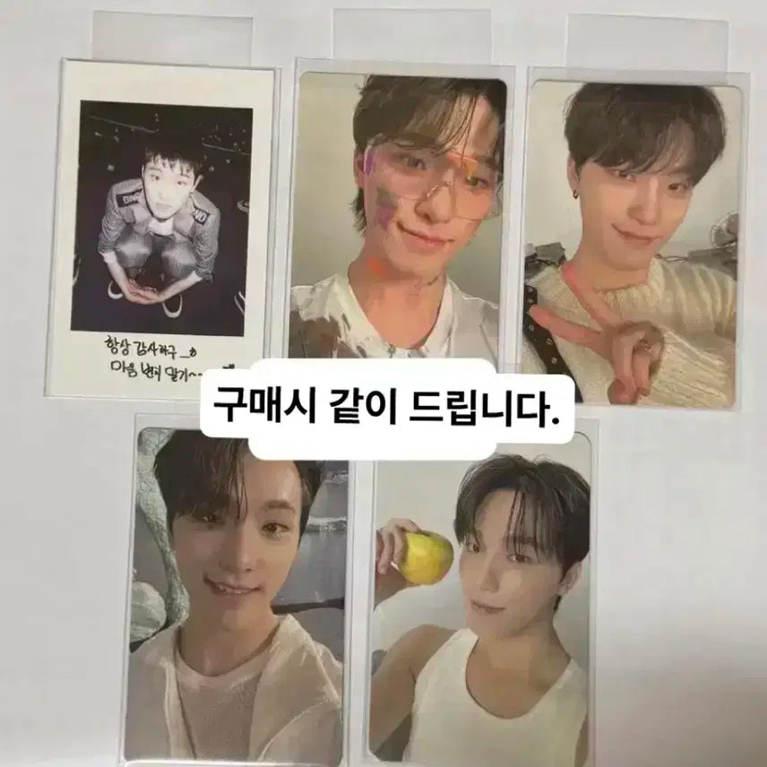 세븐틴 디노 생일박스 ver.3 버전3 생박 포카 양도 쿱스 민규