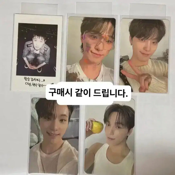 세븐틴 디노 생일박스 ver.3 버전3 생박 포카 양도 쿱스 민규