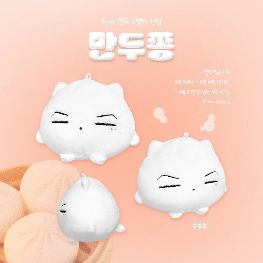 엔하이픈 제이 박종성 인형 만두쫑 7cm