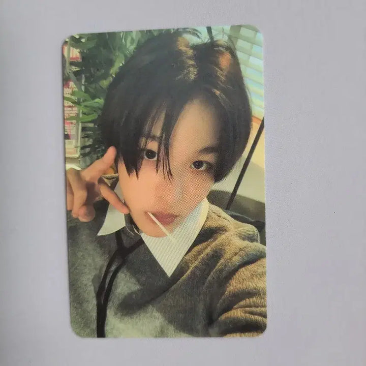 엔시티 위시 뮤직코리아 리쿠 특전 포카 양도