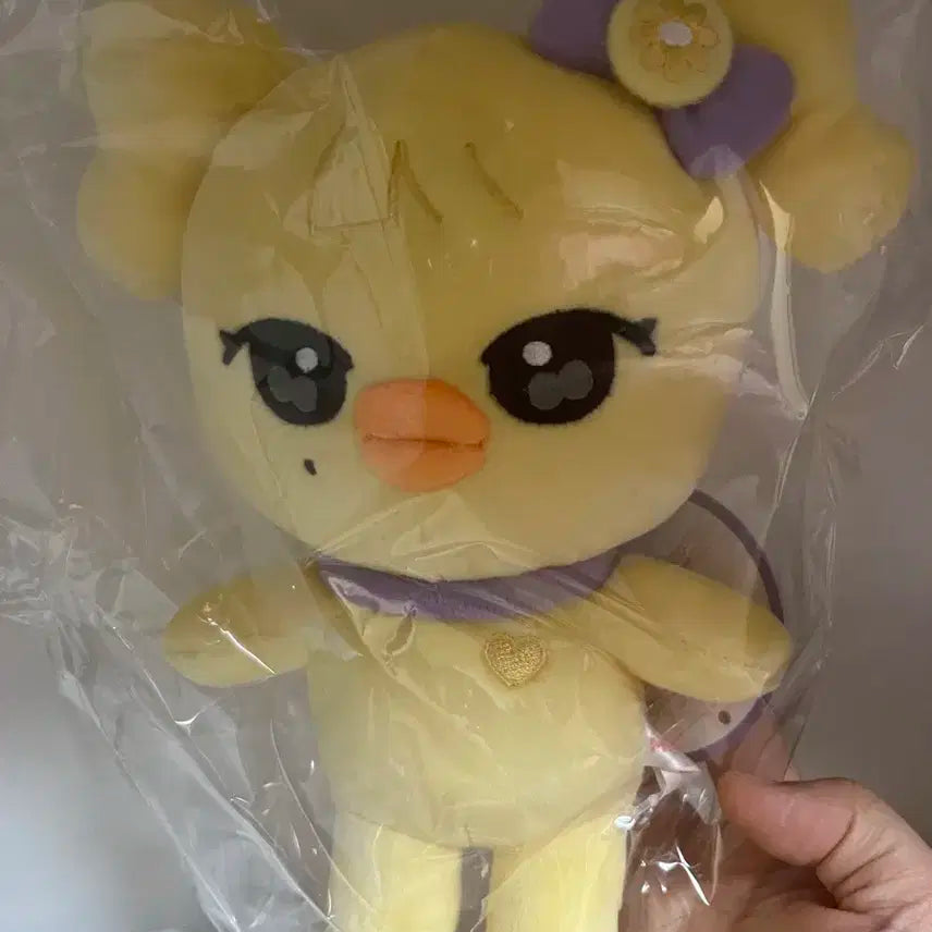 아이브 레이 나오리 인형 판매