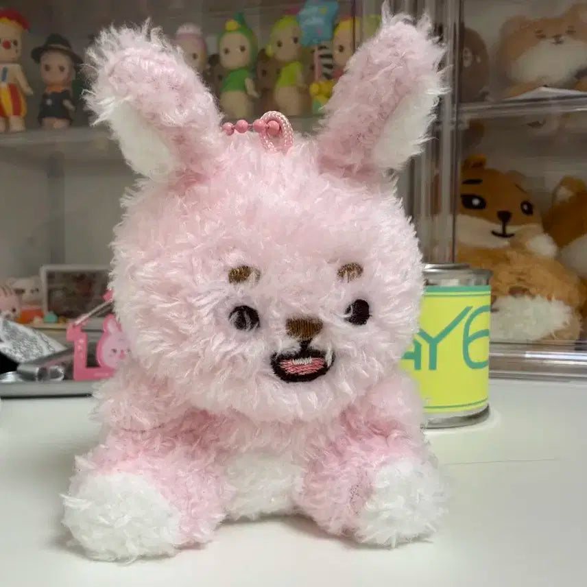 앉은 필 /쁘띠멀즈 /데이식스