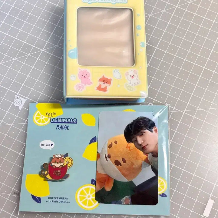 데이식스 영케이 소울컵 뱃지 + 이오데 콜렉트북