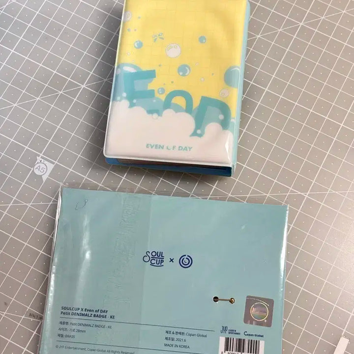 데이식스 영케이 소울컵 뱃지 + 이오데 콜렉트북
