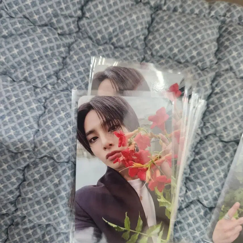 스트레이키즈 카르마 팝업 포카 럭드 특전 삼만원 포토카드 아이엔