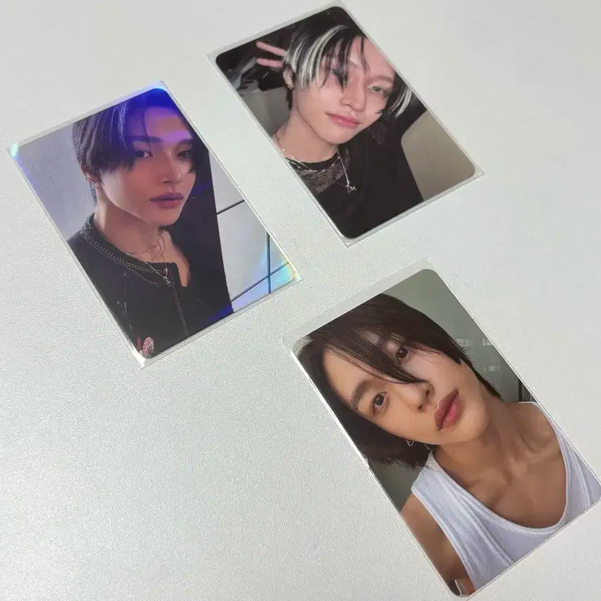 라이즈 원빈 포카 일괄 양도