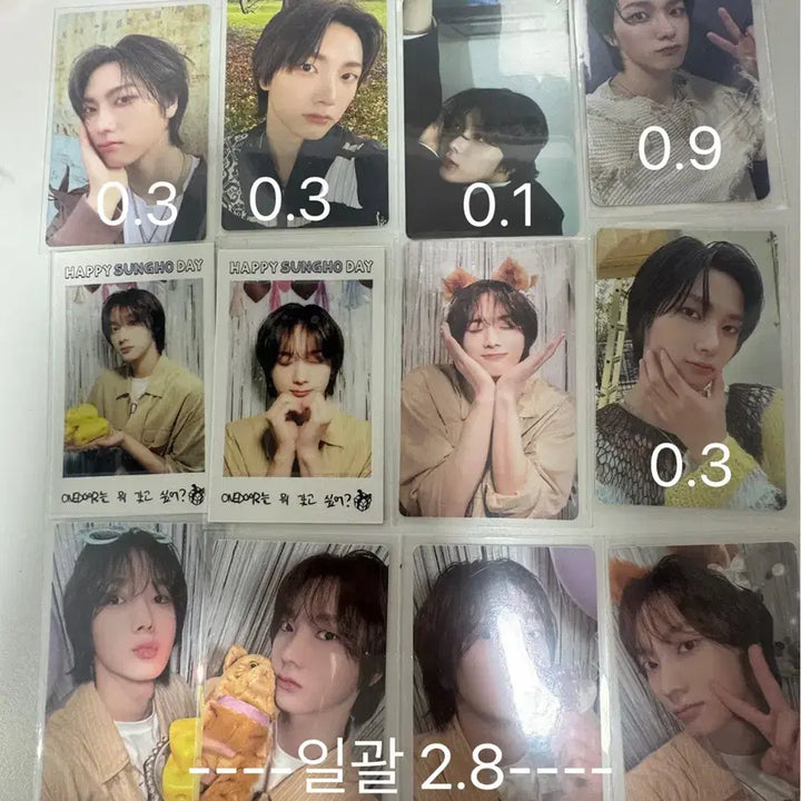 보이넥스트도어 성호 포카 양도