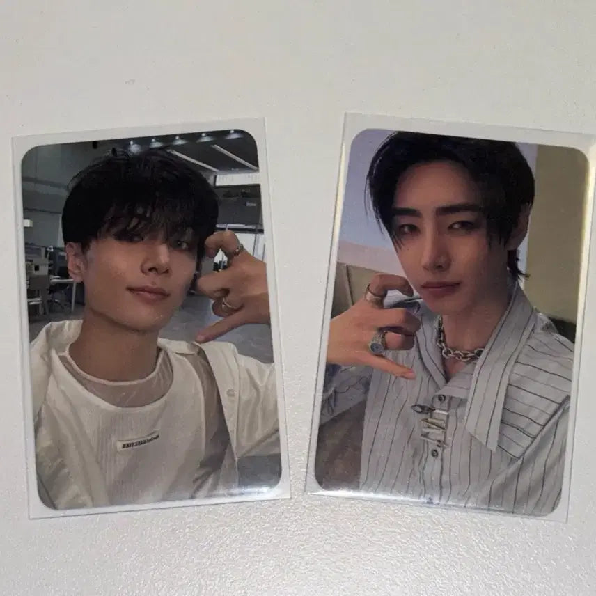 엔하이픈 제이 성훈 올리브영 포카 노다웃 데이드림