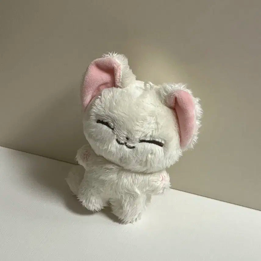 스트레이키즈 양정인 IN 아이엔 양예니 팔아요
