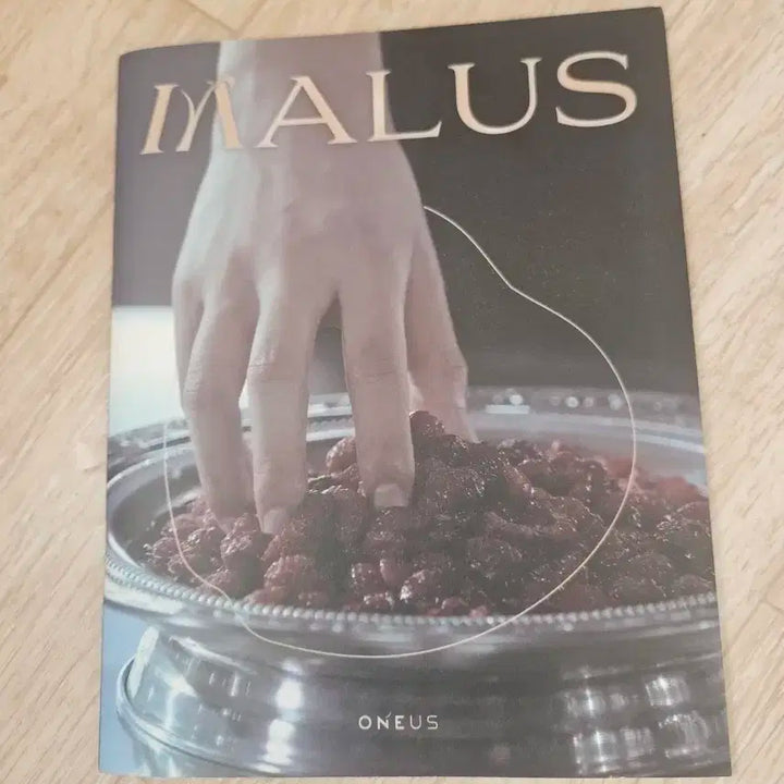 원어스 레이븐