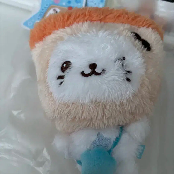 위시돌 버블냥 양도