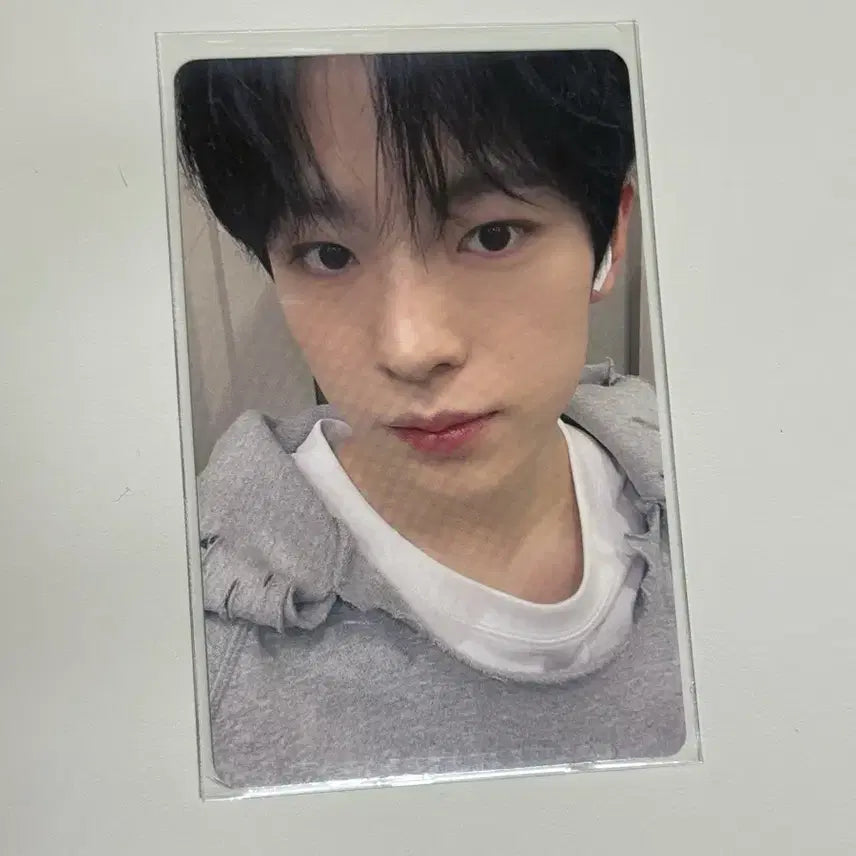 엔시티위시 유우시 송버드 이즈위 포카