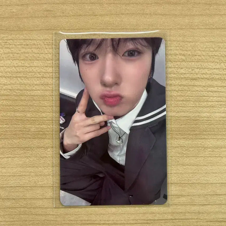 엔시티위시 사쿠야 스테디 kms 미공포 양도