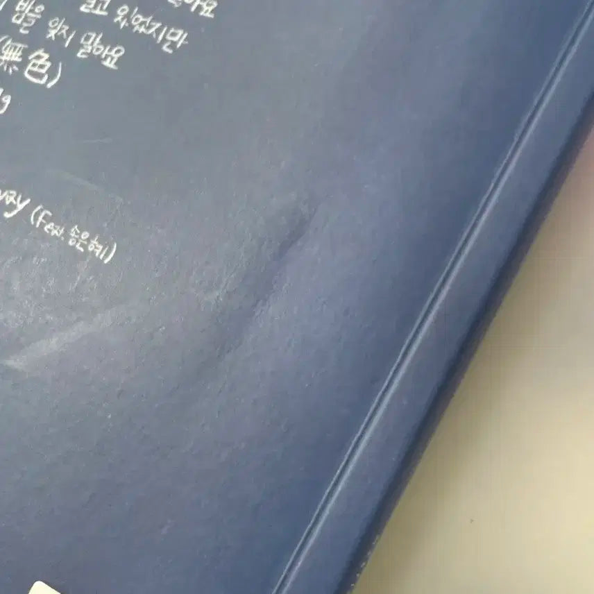 루시 차일드후드 개봉 앨범