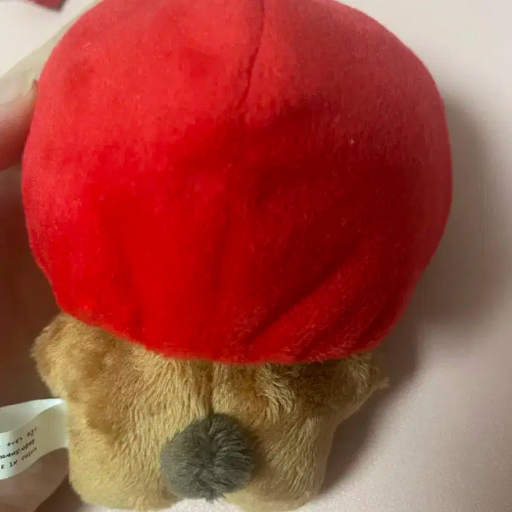 nct 해찬 동쪼 인형
