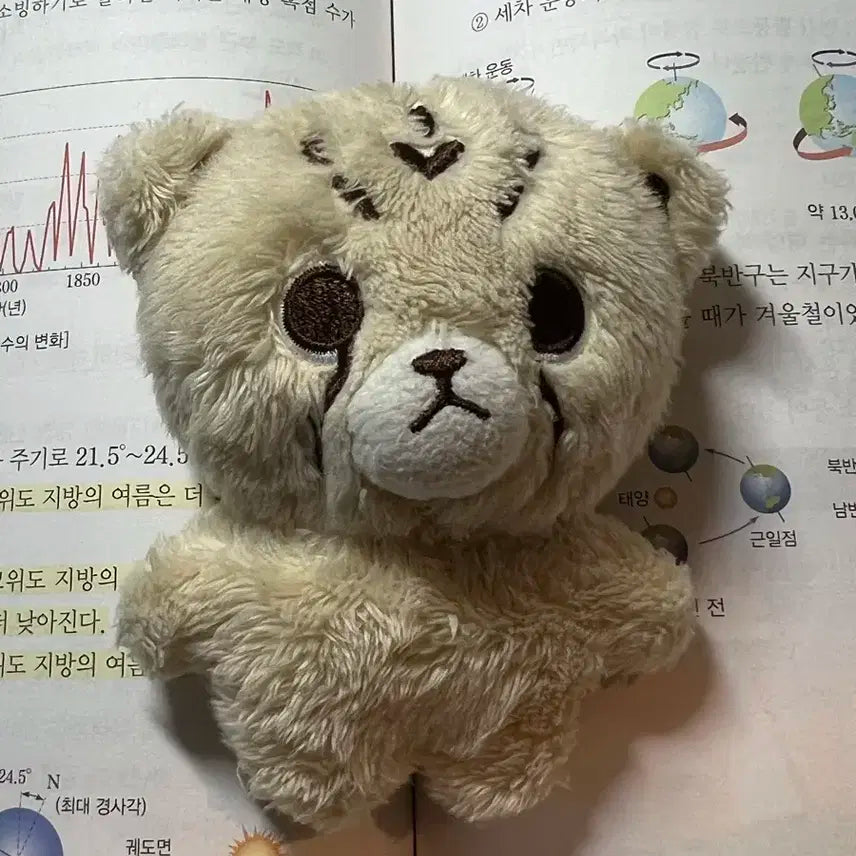 치타리 양도합니다