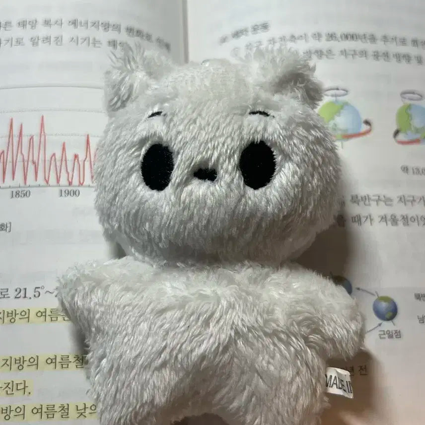 쩡아지 양도합니다