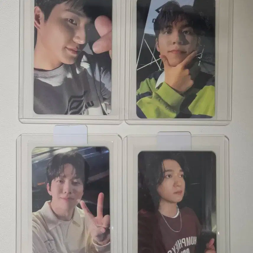 데이식스 엄브로 포카 ver.2 일괄