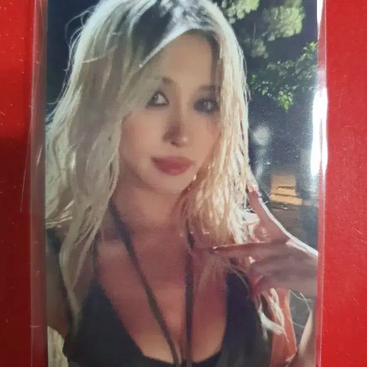 우주소녀 다영 BODY 솔로 공방포카