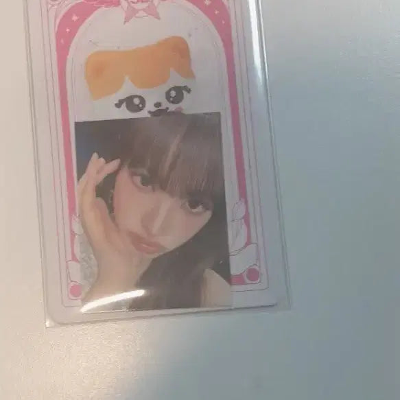 아이브 크리스피도넛 리즈 포카