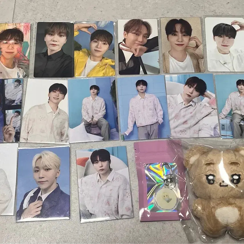 세븐틴 승관 굿즈 양도 인형 포카 뿌곰