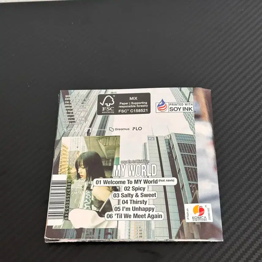 윈터 앨범