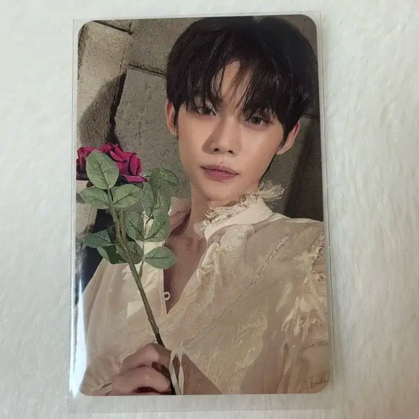 TXT 투바투 연준 투모로우 로맨틱 포카