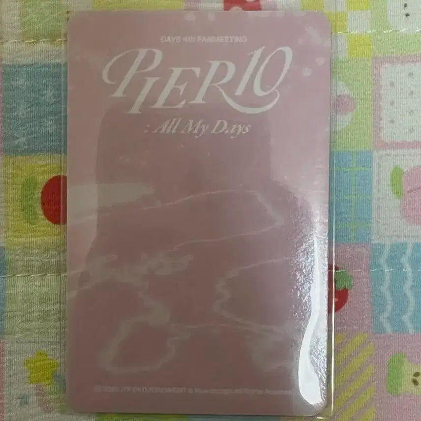 데이식스 팬미팅 4만원 엠디 포카